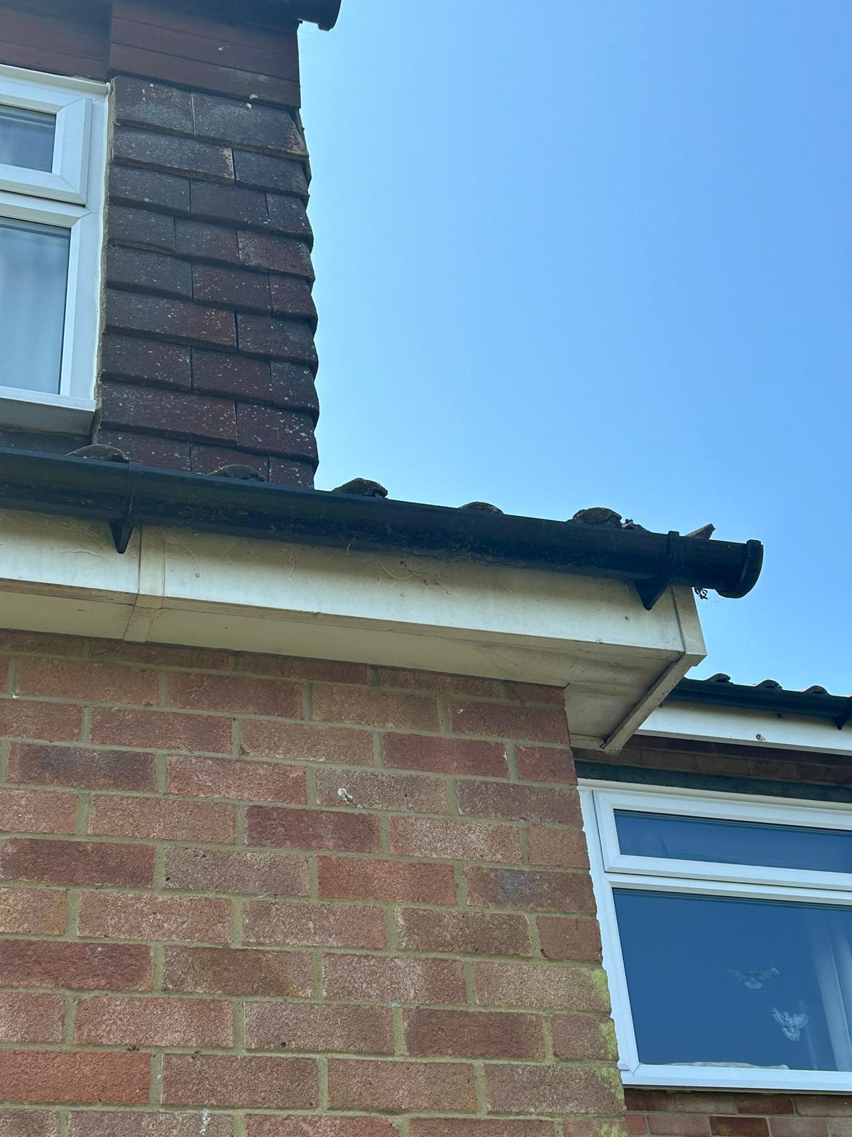 Before - Gutters clogged with leaves, vegetation and debris