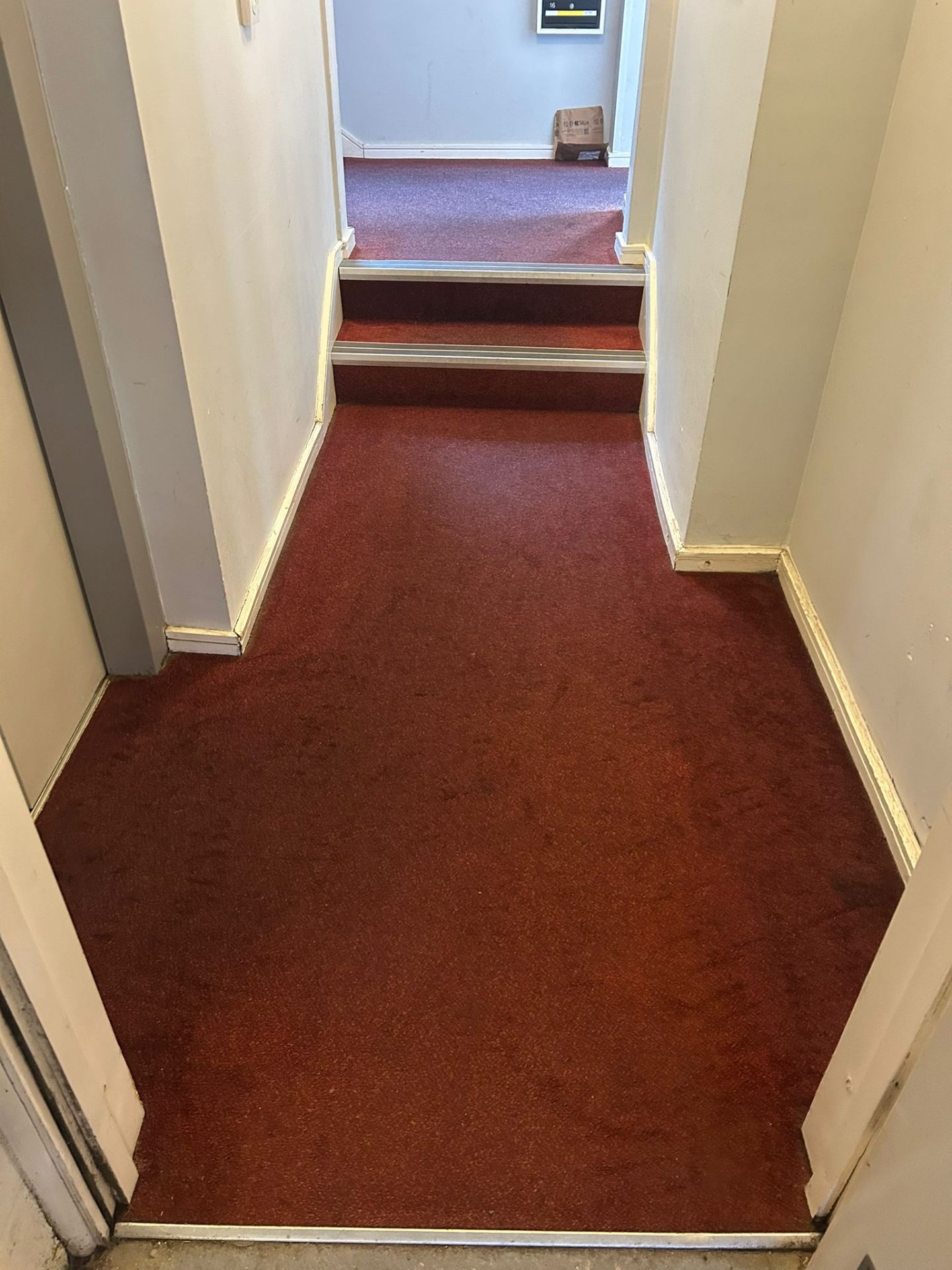 Professionally cleaned communal hallway with pristine red carpeting and spotless white walls