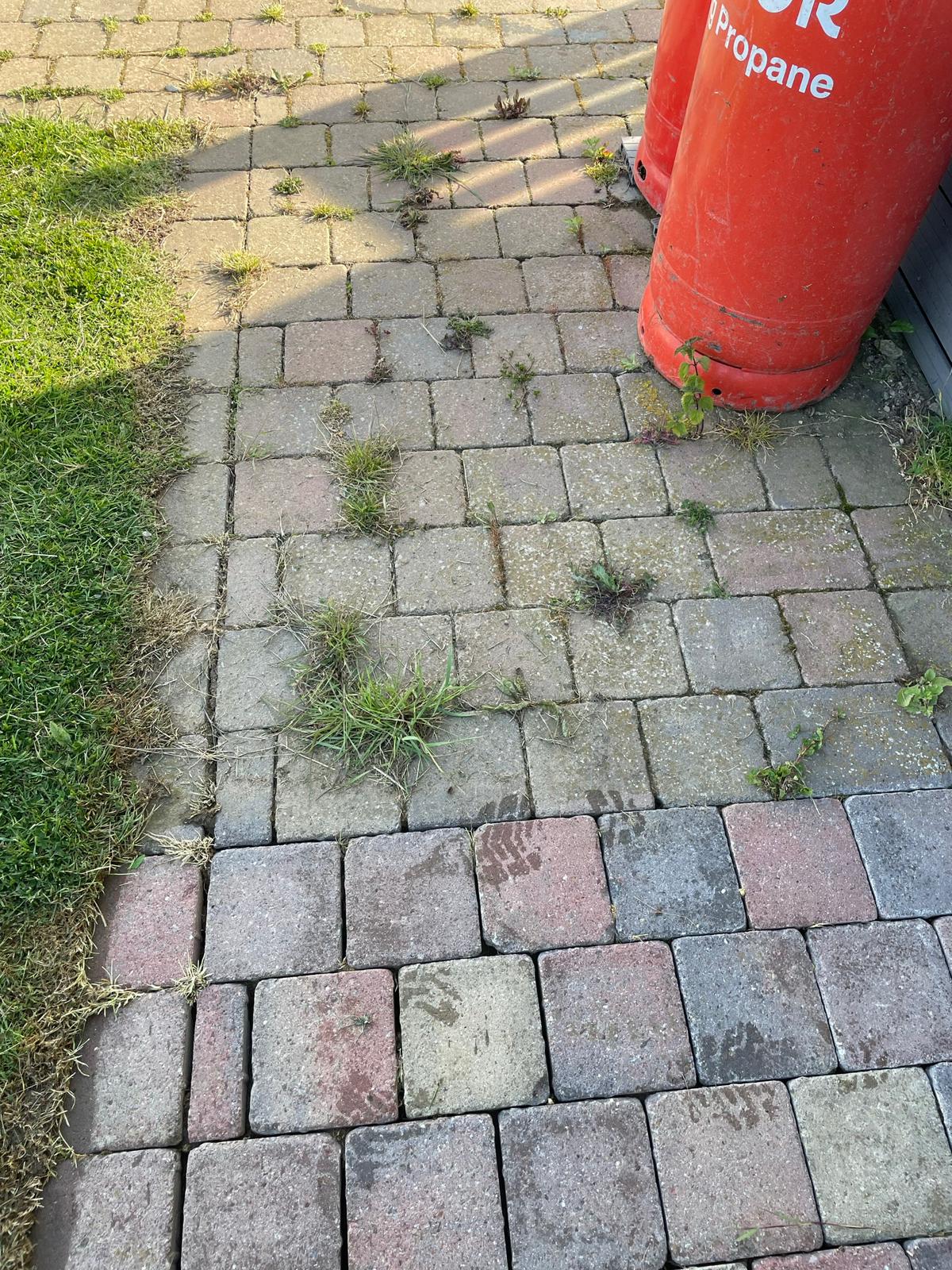 Before - Patio with weeds and stains between block paving