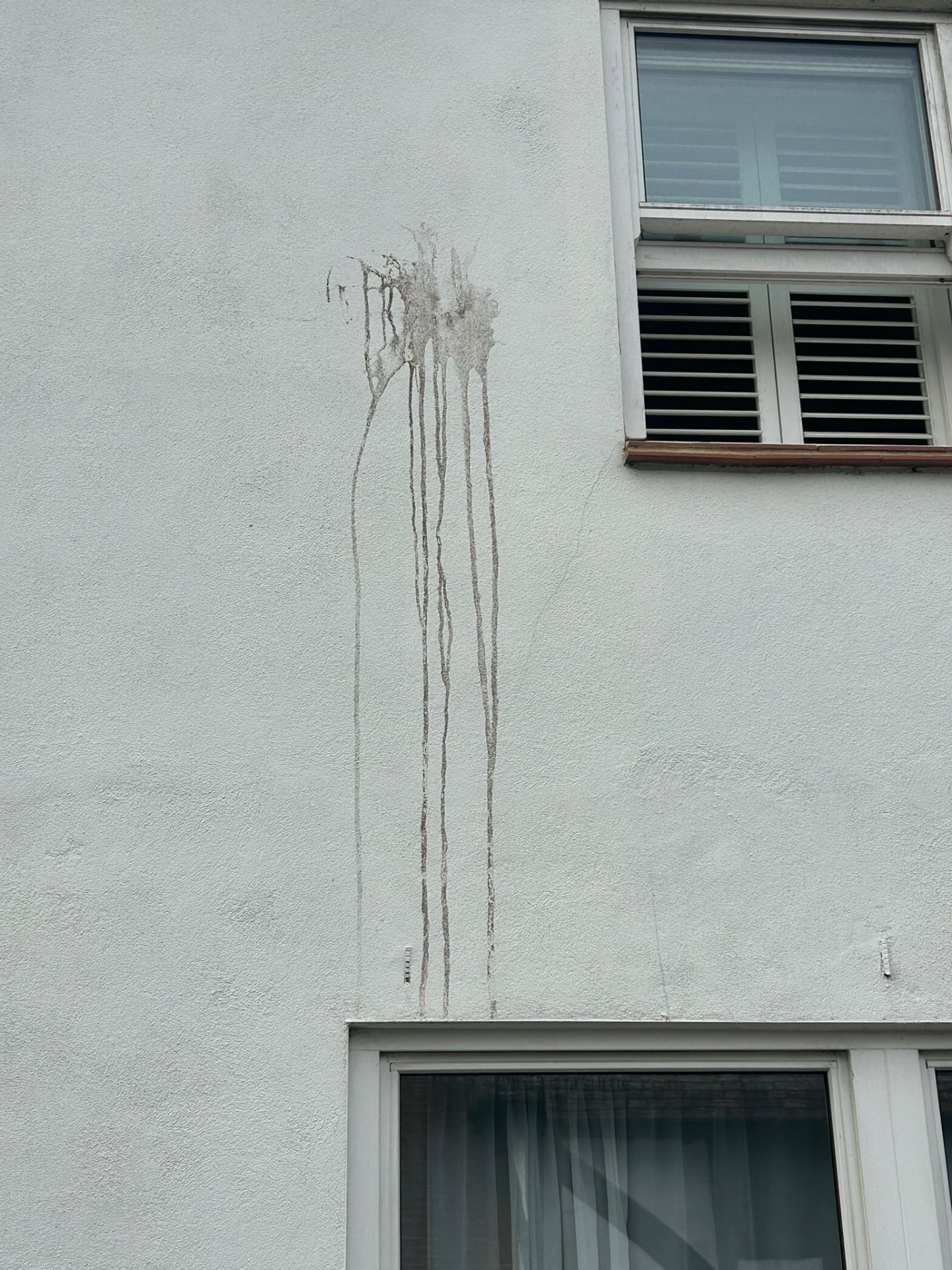 After - Commercial wall professionally cleaned