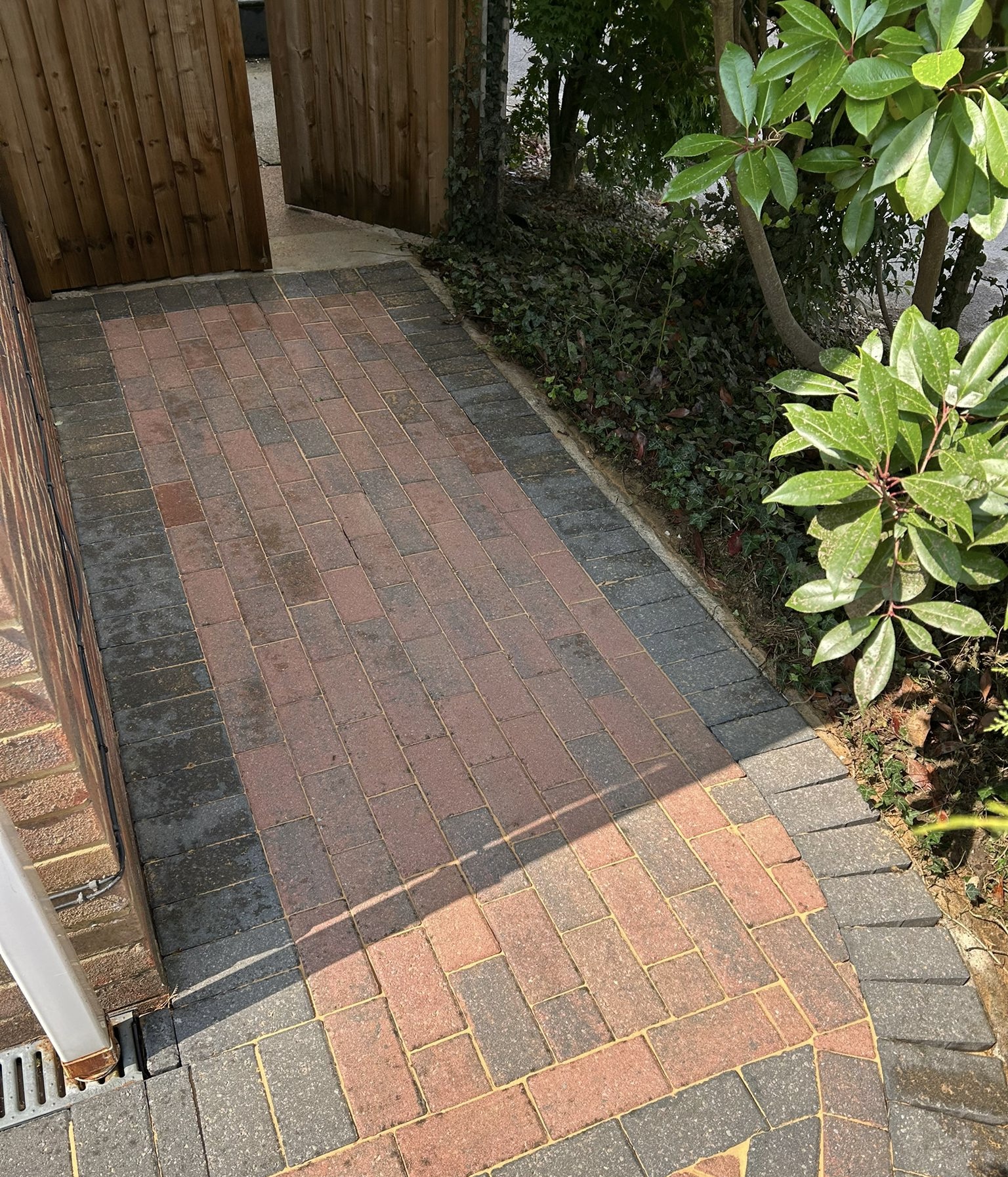 After - Driveway with weeds and moss removed