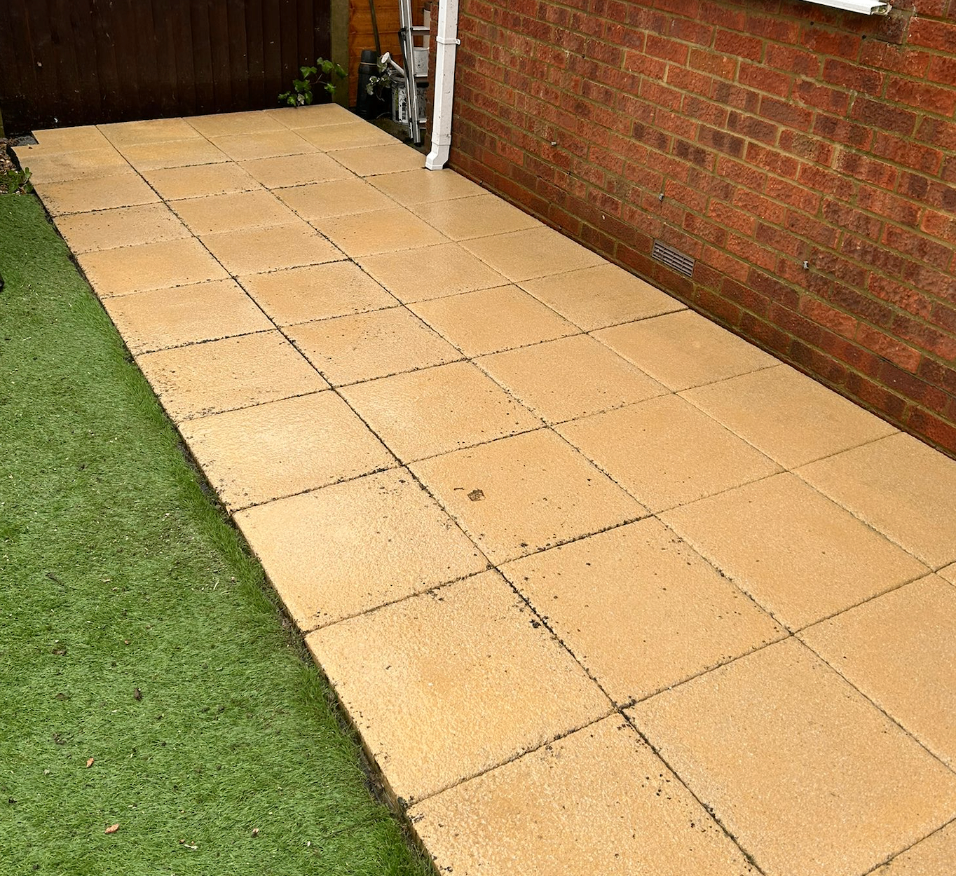 Patio cleaning transformation showing before condition with stained paving stones