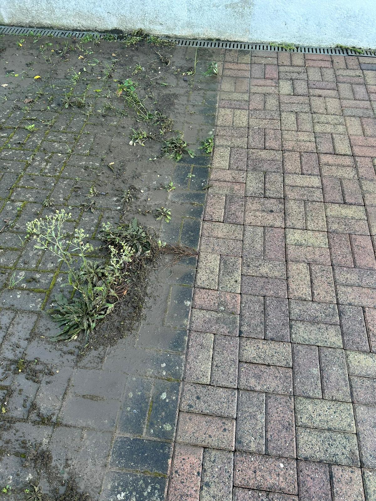 Dramatic before and after driveway cleaning showing transformation from weedy algae-covered surface to clean block paving