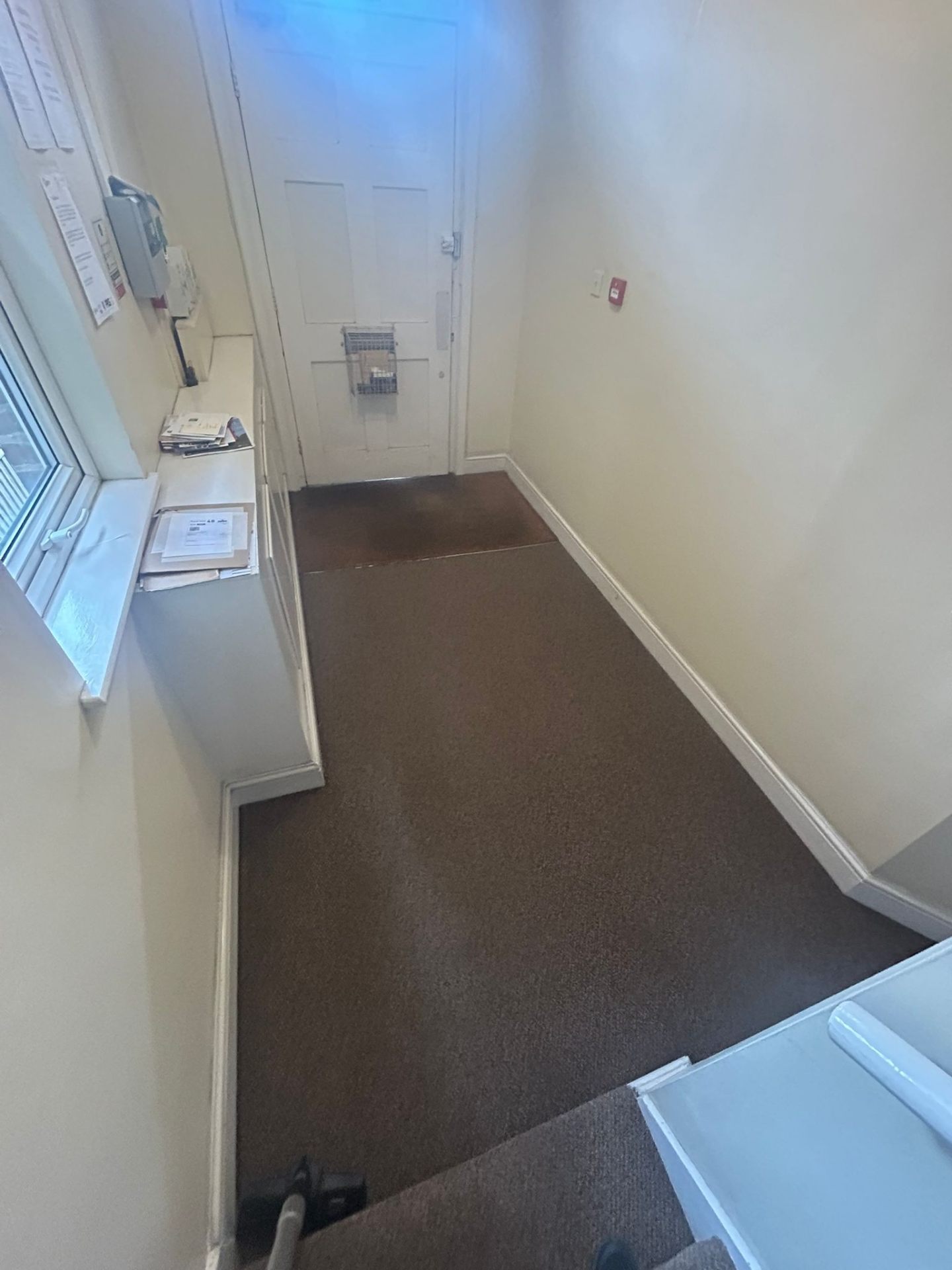 Spotless communal hallway with perfectly maintained dark carpet and clean white walls