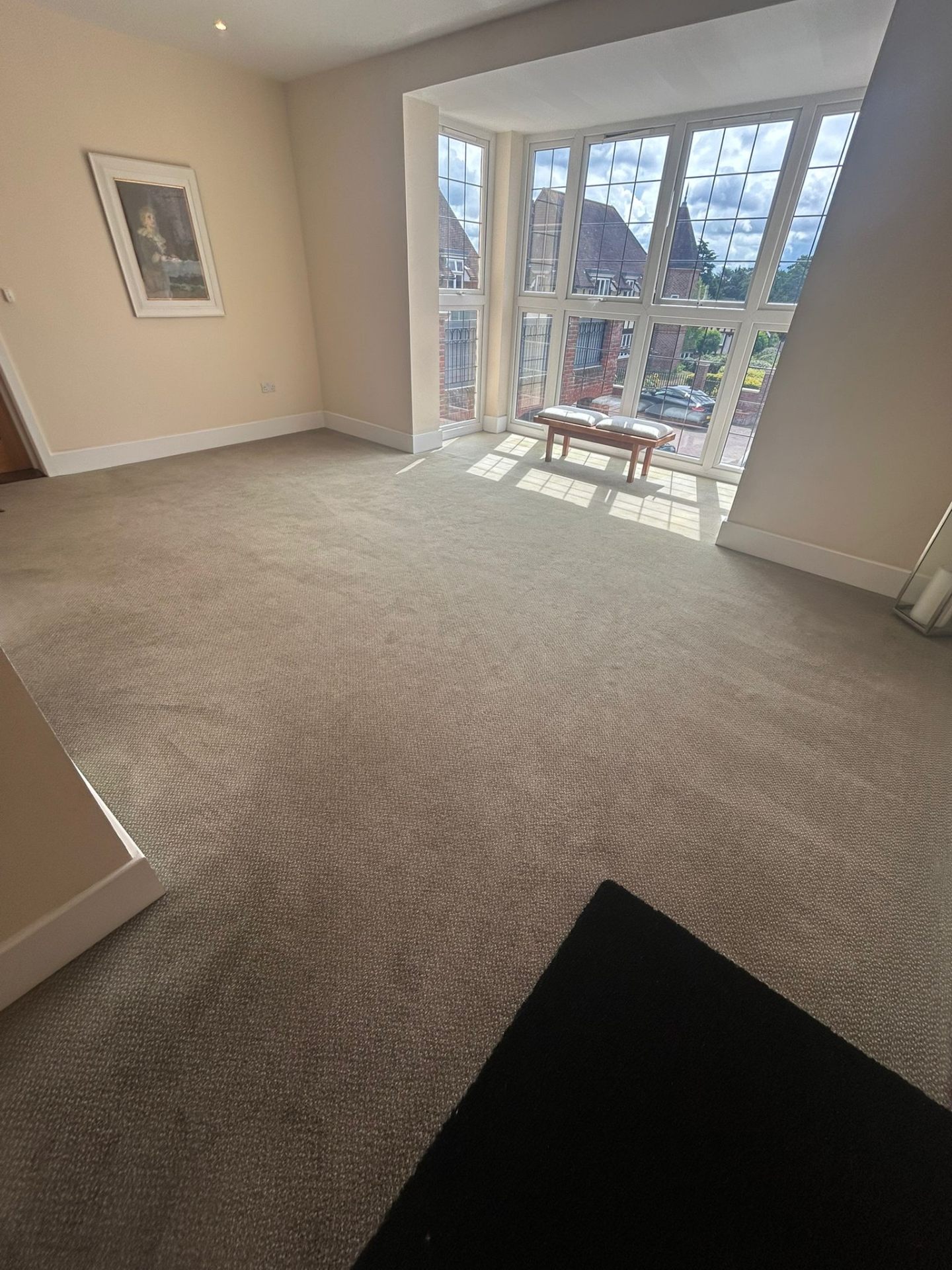 Clean beige carpet in bright residential room with large windows