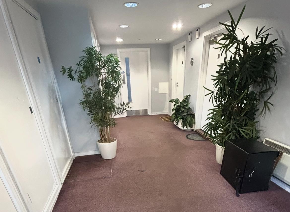 Clean brown carpet in commercial hallway with plants