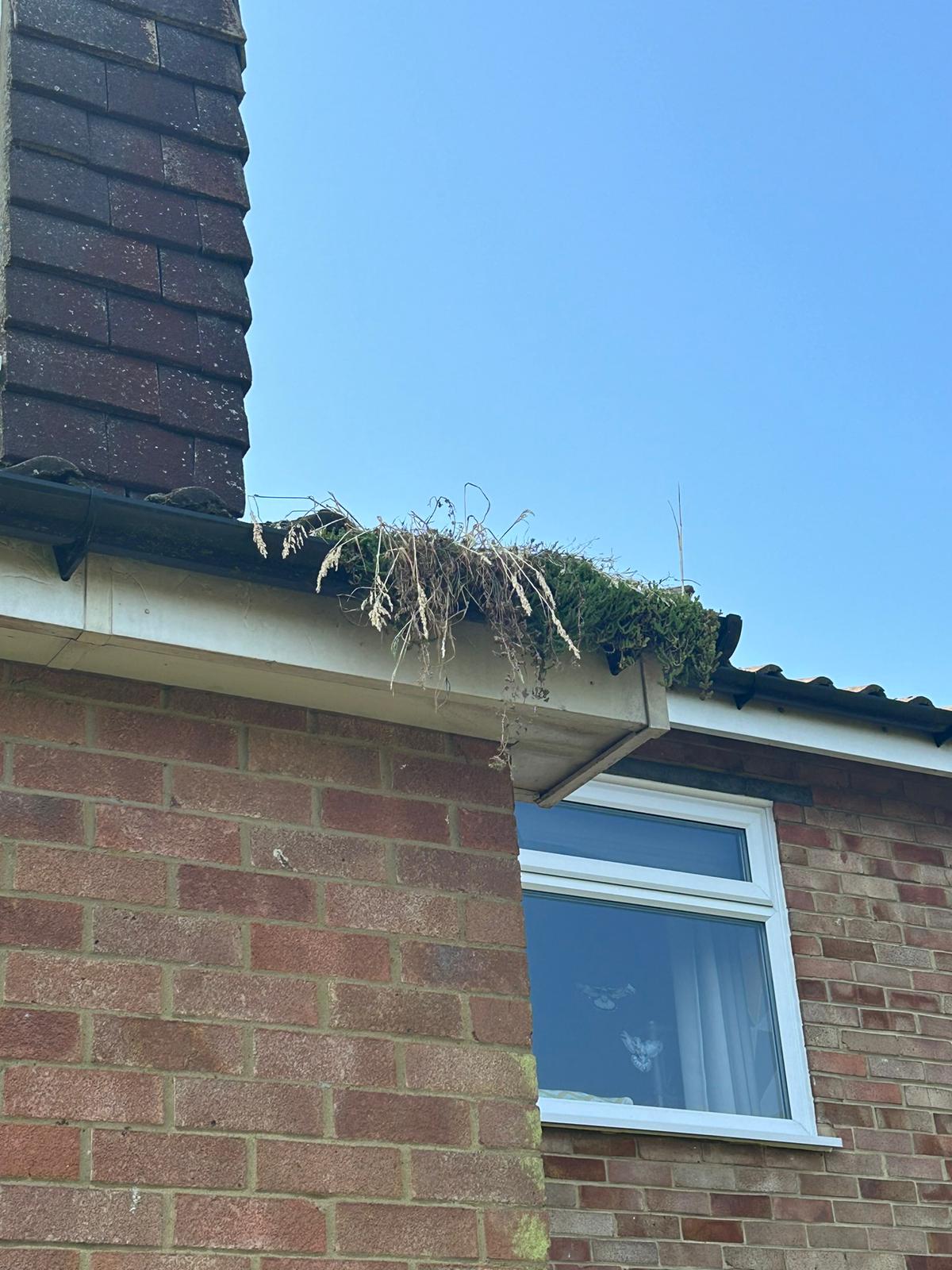 After - Clean gutters flowing freely after professional clearance