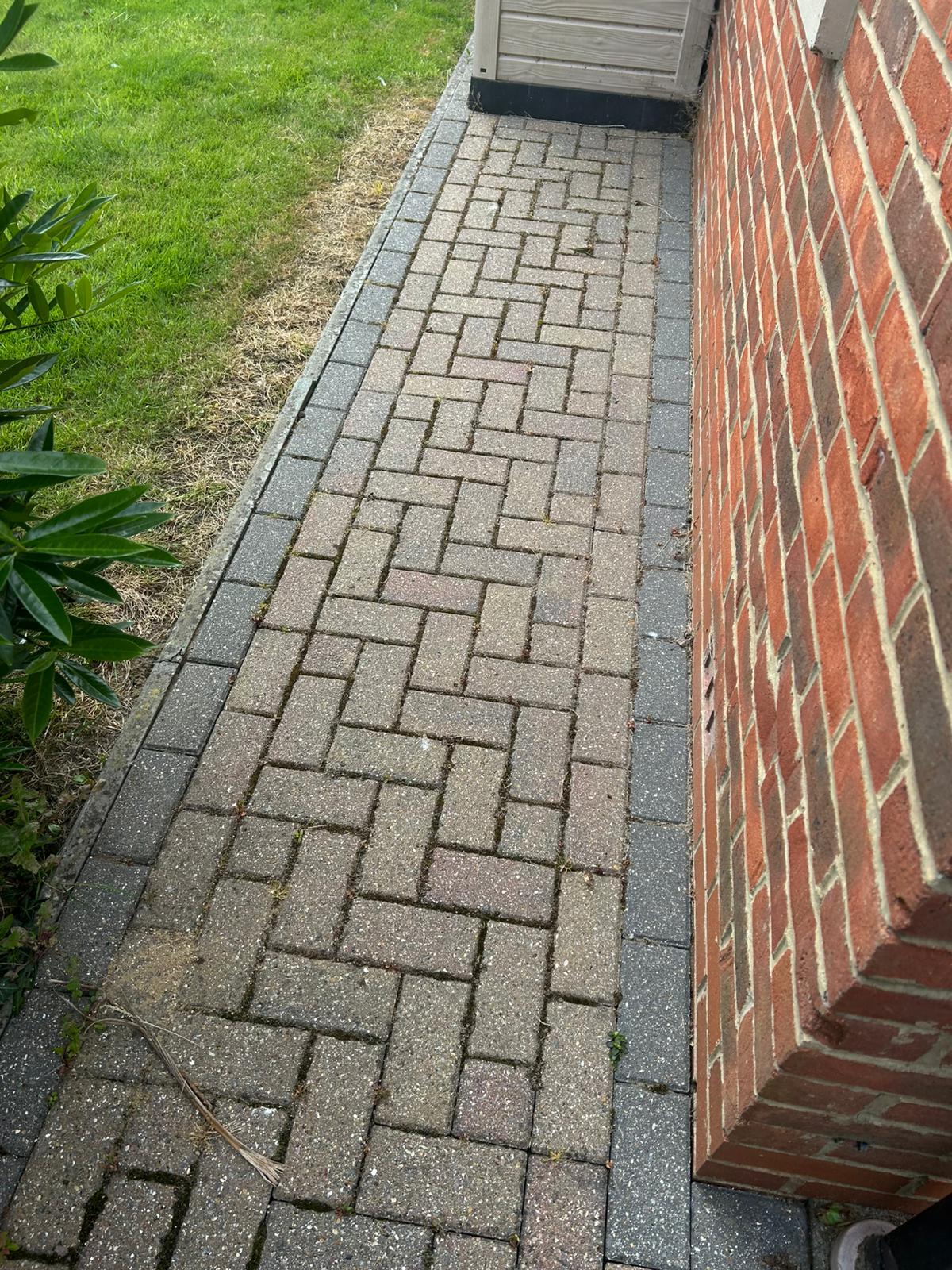 Before - Brick pathway with moss and staining