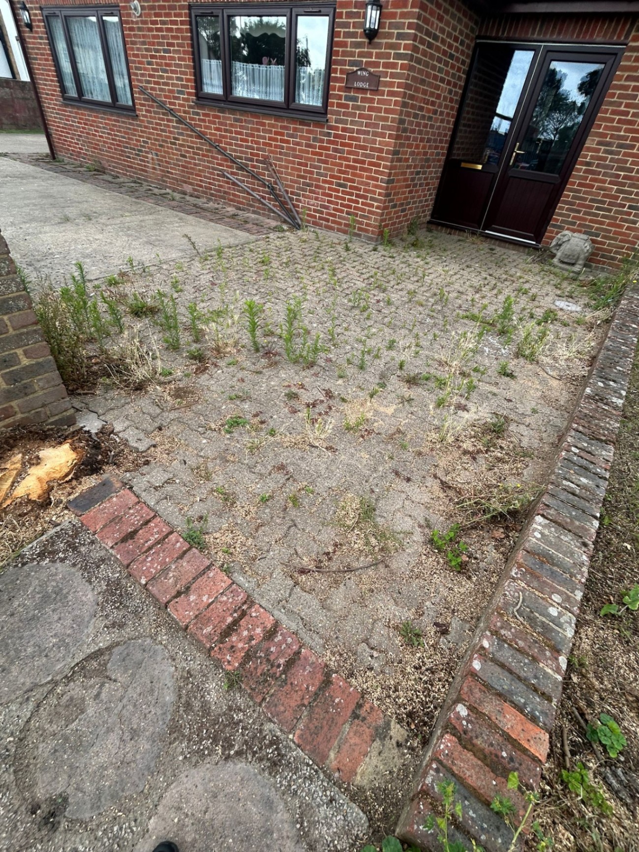 Before - Driveway with weeds and deterioration