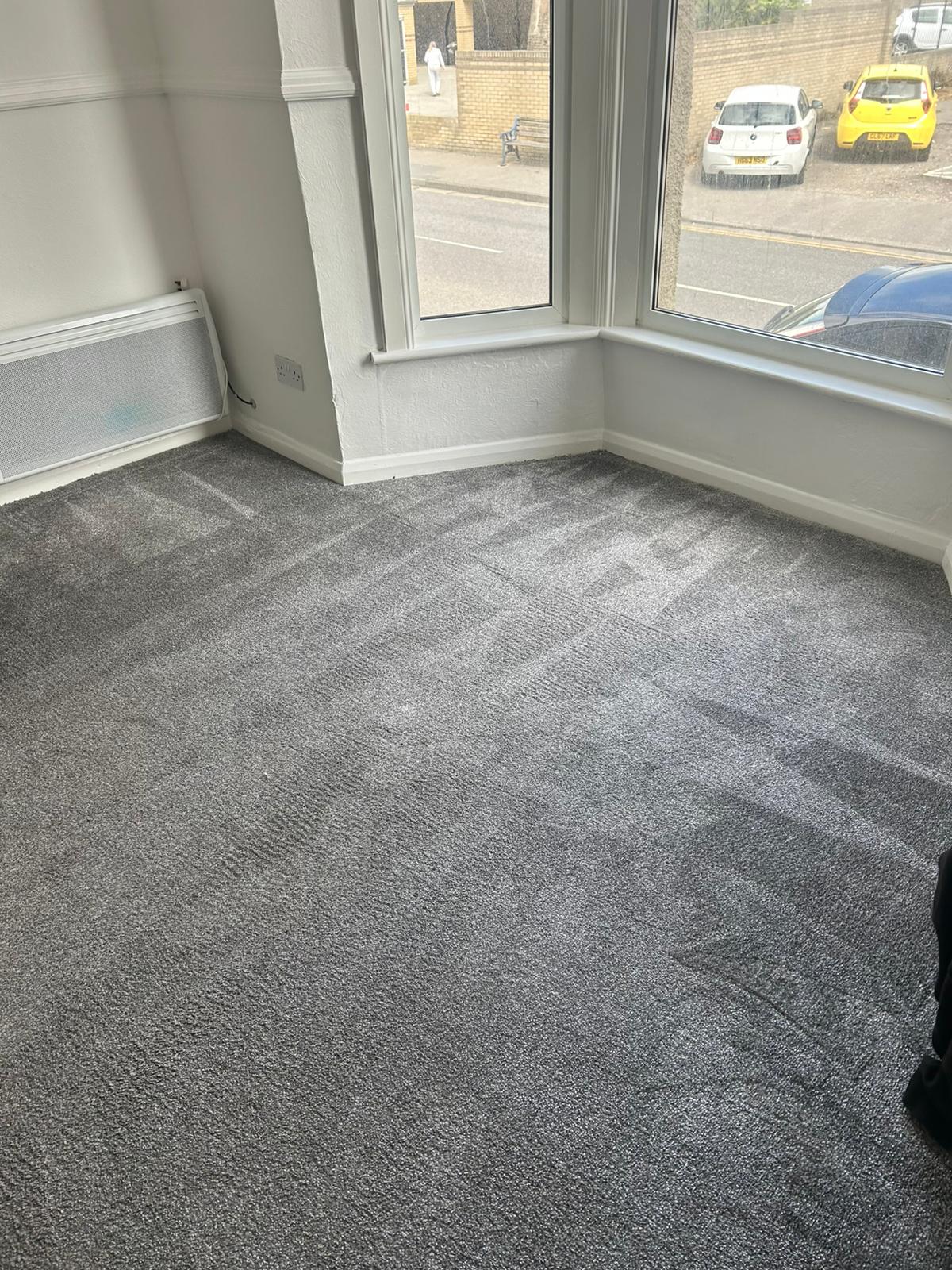 Professional carpet cleaning results showing clean carpeted room with crystal clear windows