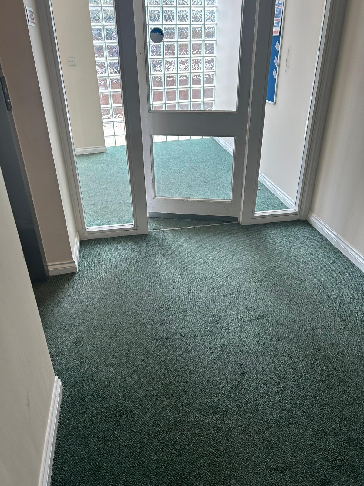 Clean green carpet near glass doors in residential property