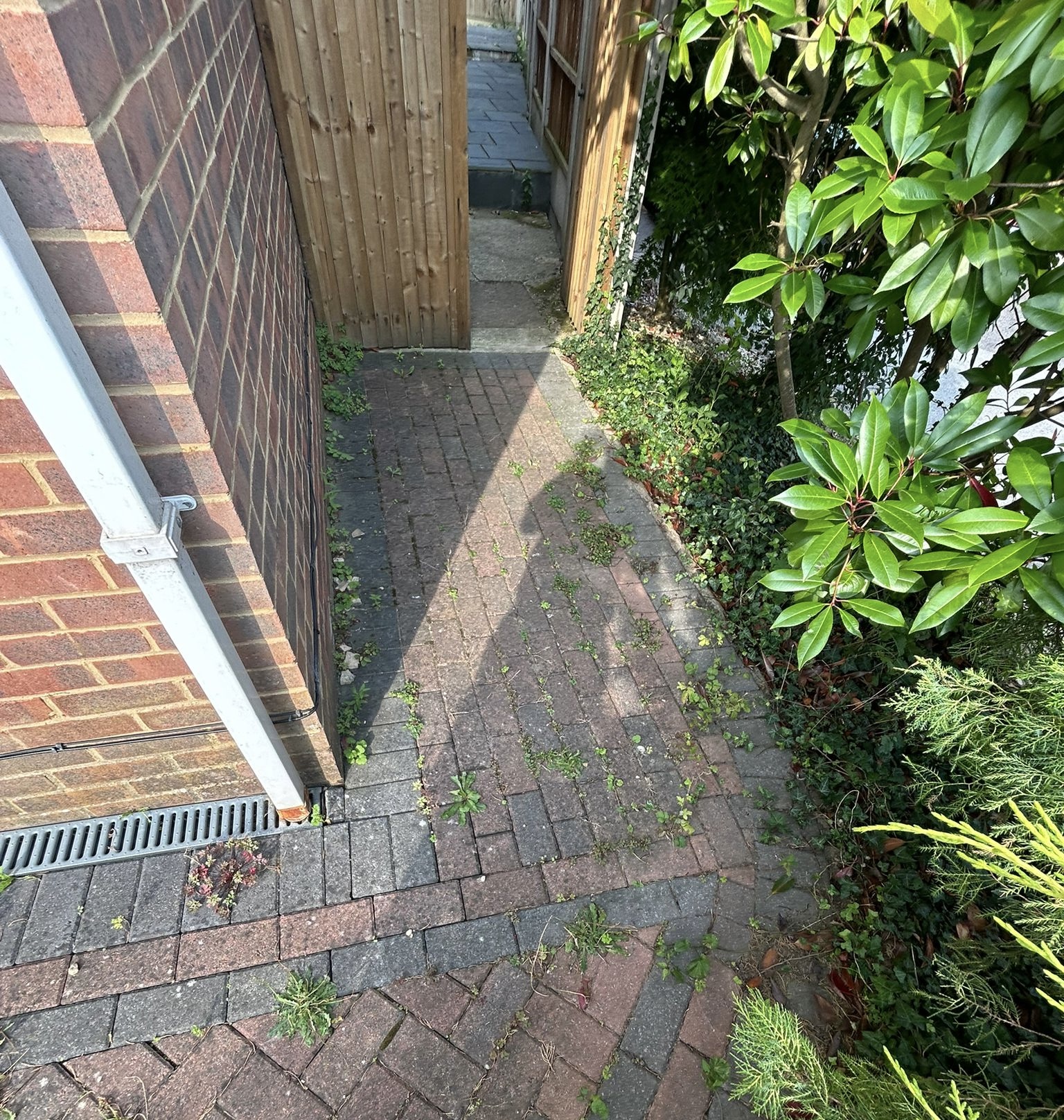 Before - Driveway with weeds and moss growth